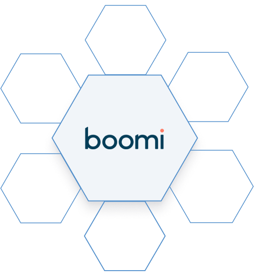 boomi floral graphic